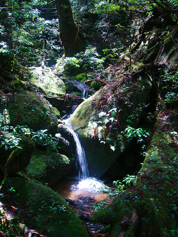 Waterfall - path of water